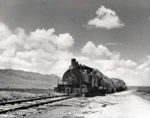 Oahu Railroad